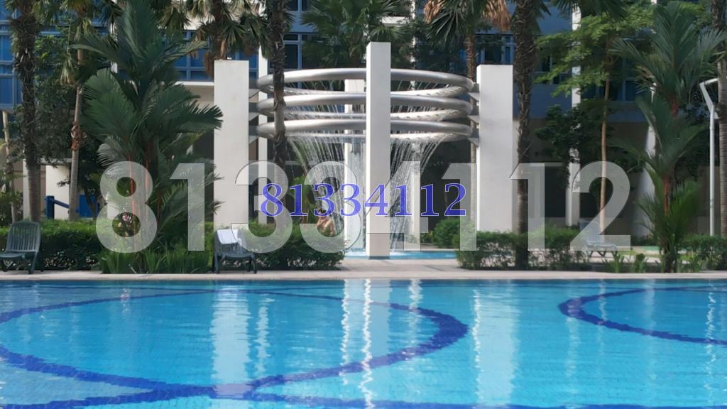 City Square Residences (D8), Condominium #88523962